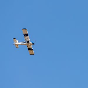 airborne renkum 20092024 img