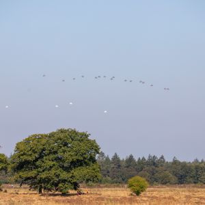 airborne renkum 20092024 img
