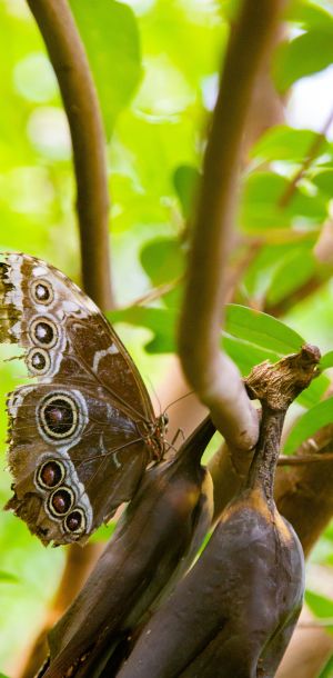 elmarco.nl dierentuin img
