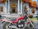 hobcat motor