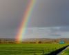 regenboog