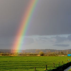 regenboog